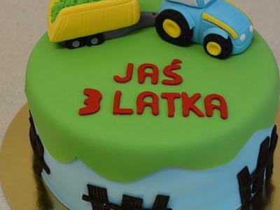 Tort dla dziecka 37